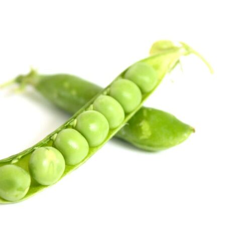 Peas-100913CB9104ECC4